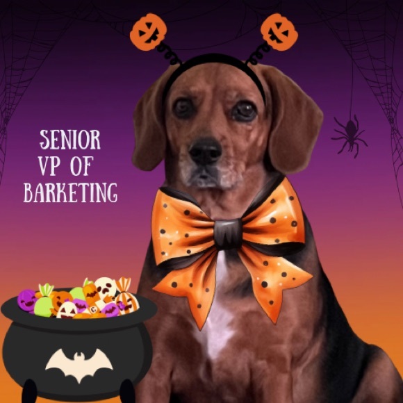 Meet your Posher, Karen - Picture 4 of 6